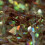 PME Magic Sparkles, Edible Iridescent Glitter ? Green Emerald (3g) 5