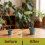 10Pcs/Pack Heavy Duty Metal Garden Stakes Support Stand For 4