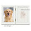 Coffret cadeau spécial pour animaux de compagnie avec-Blanc 6