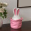 Rabbits Designs Silicone Mould Crafting Storage Jars Small 6