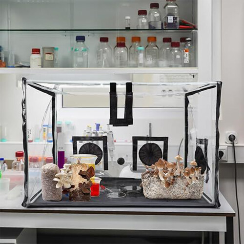 Professional Seedlings Cultivation Chamber for Scientific 1