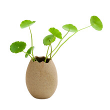 Substrato de cultivo para hidroponia, esponja de alta qualidade para fixação de raízes com design de abertura nas bordas, esponja de longa