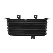 Novo Intercooler de Rede de Resfriamento de Caixa de Engrenagens de Carro de Alta Qualidade 21606-JG000 21606JG000 para X-TRAIL 2007-2010 Qijun