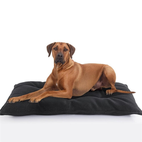 Beißfeste Hundekäfigmatte, Extra Groß, Strapazierfähig, Waschbar A 2