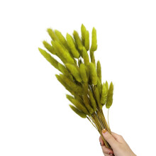 60Pcs Natural Dry Hare Tails 23.6Inch Height Natural-green