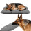 Beißfeste Hundekäfigmatte, Extra Groß, Strapazierfähig, Waschbar B 4