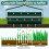 Manual Lawn Aerator Roller - 44x128 cm, 27 Spikes, Ergonomic Handle 5