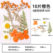 Colección de flores secas prensadas, perfectas para crear joyas de resina. Incluye flores naturales y envase al vacío para un almacenamiento seguro.