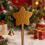 Lightweight Star Cake Transportation Card Protector Fun-1 2 5