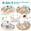 Set da gioco 4 in 1 per bambini: dondolo, scalatore, tunnel 3