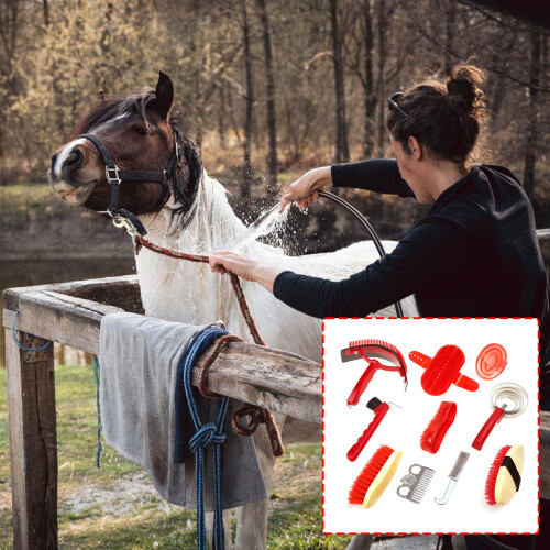 Professional Horse Care Essential Grooming Tool Leichte 1