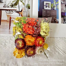 DIY Crafting Delight, Äkta torkade pressade blommor för resinform scrapbooking, lila och vita blommor blandat kit för smyckestillverkning