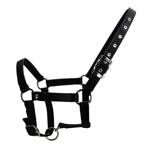 Thickened PP Webbing Horse Halter 25mm Width Thicken Horse-S