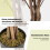 Bougainvillier artificiel, 120 cm, fleurs blanches 4
