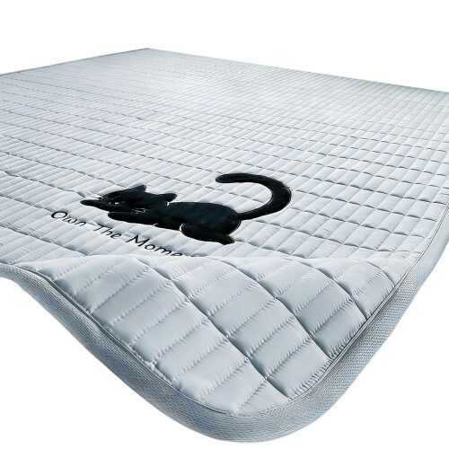Luxurious Feather Silk Cotton Filled Mattress Student-Blue B