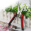 Gartenschere (Rot und Silber) 4