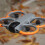 Kit de Proteção 2 em 1 com Design Impresso em 3D e Capa Protetora para Motor Do Drone para  AVATA360. 3