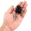 11PCS Auto Car Plug Circuit Board Wire Harness Terminal Extraction Pick Connector Crimp Pin Back Needle Remove Tool Set 7