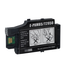 T2950 Wartungskartusche kompatibel mit Epson Workforce WF-100, WF-100W, WF-110, WF-110W – Besonderes Geschenk