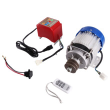 24V 500W Bürstenloser Gleichstrommotor für Elektrische Dreirad-Rikschas