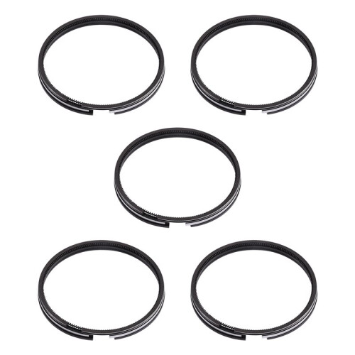 6620300124 Car Piston Ring Set for  MB100 Rexton MUSSO D2.9 Before 2003