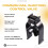 Válvula de Control de Inyección Common Rail para Motor para Great Wall GWM 2.0L 2