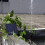 Solar Water Pump, 9V 2.5W Power Panel Pump 5