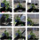 Solar Water Pump, 9V 2.5W Power Panel Pump 7