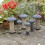 Gardman Gardman Large Steel Peanut Bird Feeder Black 4