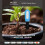 Tuya Smart Bluetooth Soil Tester Temperature and Humidity Meter Thermo 1