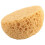 40Pcs Texture Sponge Drywall Texture Sponge Texture Patch Sponge for Texture Repair DIY Painting Ceiling (12 X 9 X 7cm) 8