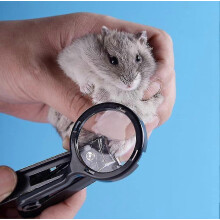 Cortauñas para cobayas con lupa, de acero inoxidable, compatible con animales pequeños como erizos, conejos, hámsteres, hurones y chinchillas.