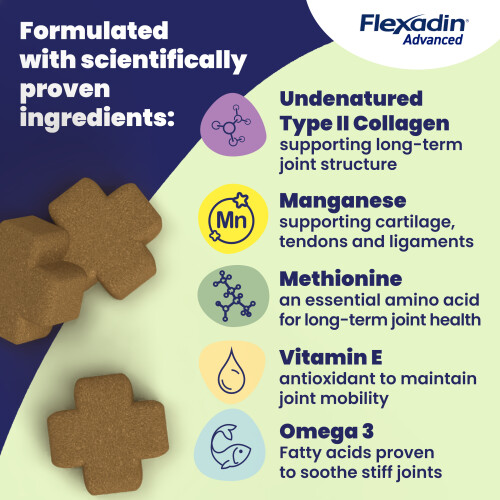 Flexadin Advanced Cat Joint Care Supplement 60 Chews 2