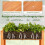 Jardinera elevada de madera con orificios de drenaje, 120 x 60 x 82 cm 5