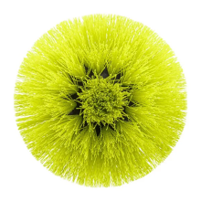 Ryobi Medium Bristle Round Scrubber Brush (110mm) RACLRM110