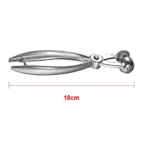 2 PCS Silver Metal Cherry Pitter Olive Pit Easy Remover Hand Removal Core Tool Kitchen Fruit Vegetab 1