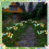 2 Pack 10LED Easter Eggs for Easter Decorations,Easter Decor Garden Lights Decorative Solar Lights,D 5