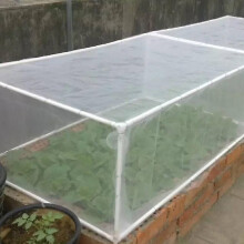 Garden Vegetable Protective Mesh Tree Outdoor Pest Control Tool Plant Crops Bird Net10x2-5m