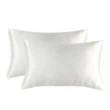 2pcs 100% Mulberry Silk Pillowcase For Hair And Skin Health, 51*76cm