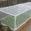 Vegetable Protective Mesh for Tree Pest Control and Bird Netting6x2-5m 1