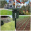 Ultrasonic Solar Deer Repeller, 5 Adjustable Modes, Effective in 48 Hours 5