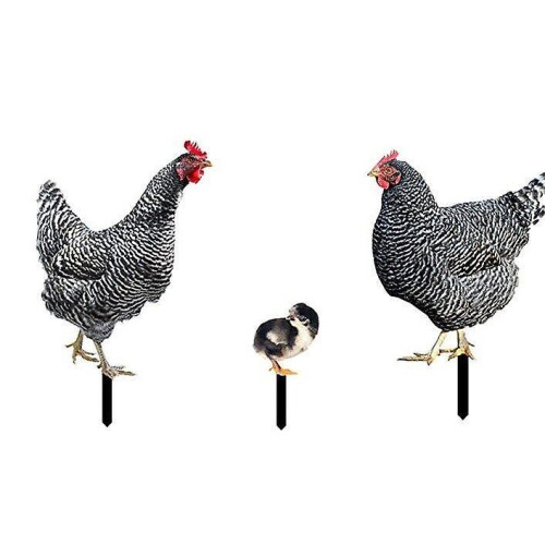 Waterproof Acrylic Chicken Shape Garden Decorative SignA