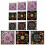 Tarots Tablecloth Plushs Velvets Multiple-C 50x50cm 3