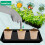 Jiffy Botanian Peat-Free Fibre Growing Pots 30 Pack 2