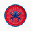 Spider Paper Plates 23 cm (Pack of 6) 2