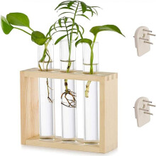 Terrarium en verre avec cadre en bois, pot en forme de tube à essai pour la multiplication des plantes, présentoir mural suspendu pour la
