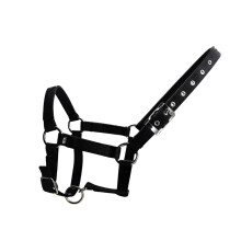 Einstellbare Pferd Halter PP Gurtband Pferd Kopfbedeckungen-S