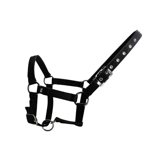 Verstellbares Pferdehalfter mit PP-Gurtband. Ergonomisches,-S