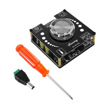 100W+100W 5.1 Stereo Amplifier Board AUX USB Sound Card Digital Power Amp Amplificador 12V-24V AP100L