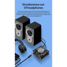 100W+100W 5.1 Stereo Amplifier Board AUX USB Sound Card Digital Power Amp Amplificador 12V-24V AP100L